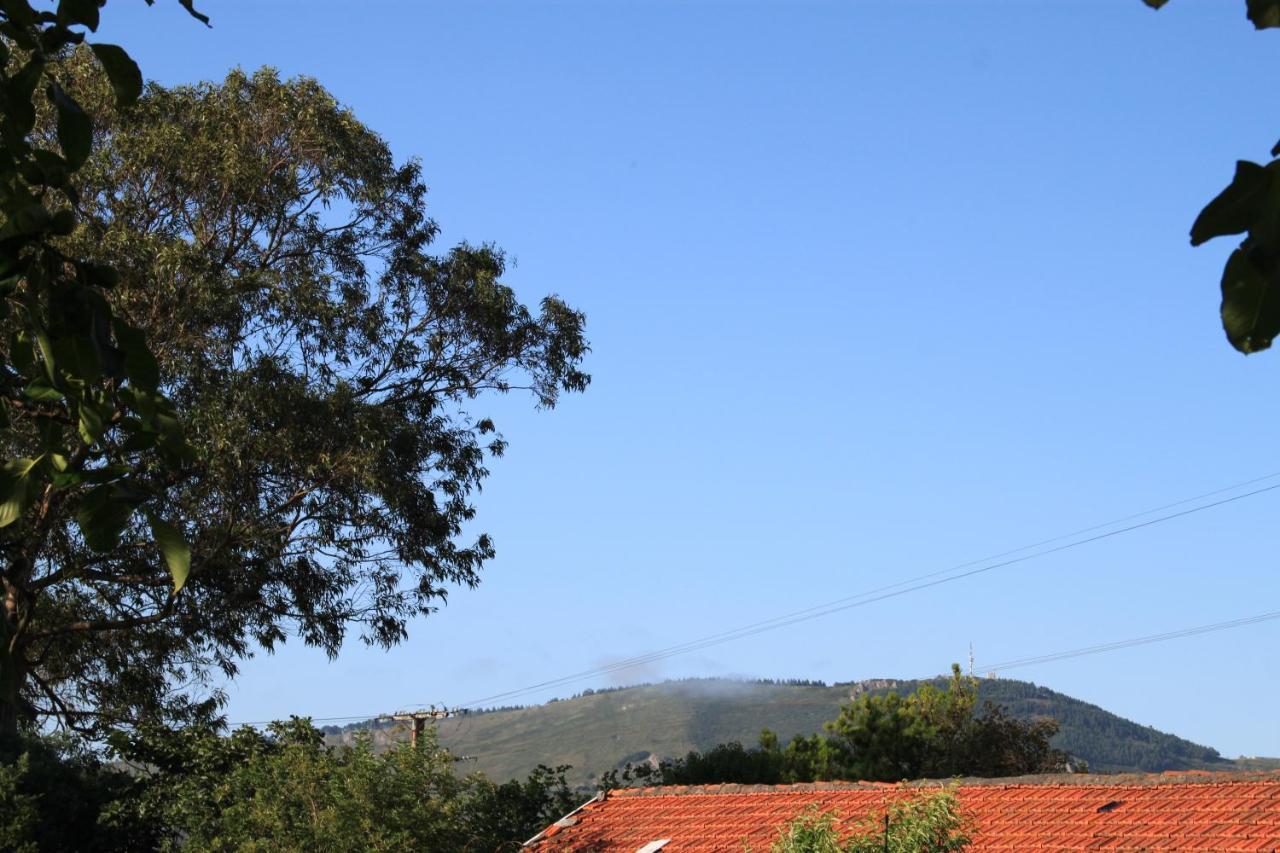Apartamento Rural Zuri Cotorrio Exterior photo